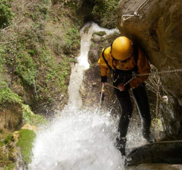 Forra del casco